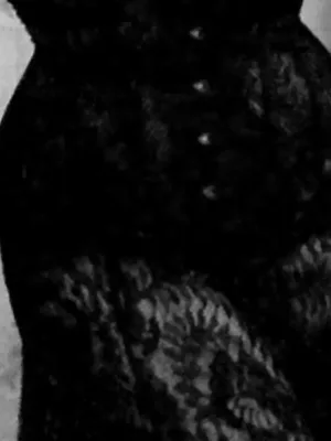 Serve your Mistress.